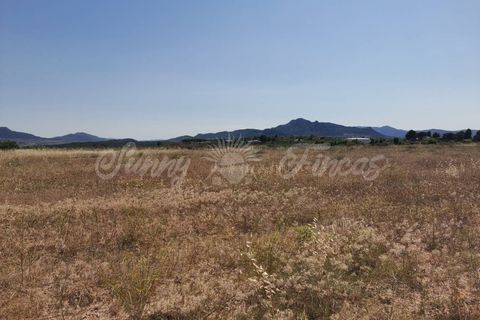 Helårsgrund i Sax, Alicante, Sax - € 59.000 | Ref: SF0315 - foto 6